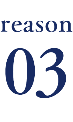 reason03